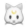 😼