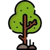🌳