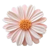🌸