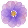 🌼