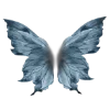 🦋