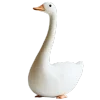 🪿
