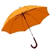 ☂️