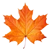 🍂