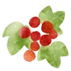 🍓