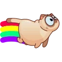 🌈