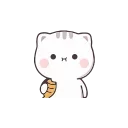 ✨
