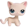 🐈