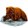 🐻