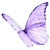 🦋
