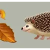 🍂