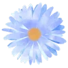 🌼