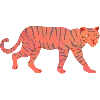 🐅