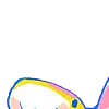 🦈