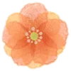 🌼