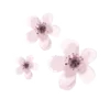 🌸