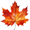 🍁