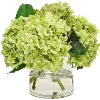 💐
