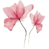🌸
