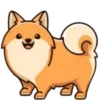 🐶