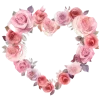 🌸