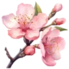 🌸