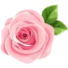 🌸