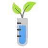 🌱