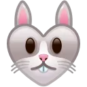 🐰