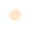 ✨