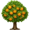 🌳