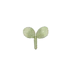 🌱