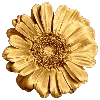 🌼