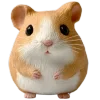 🐹