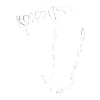 🪽