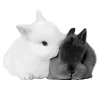 🐇