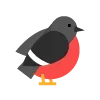 🐦