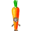 🥕