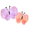 🦋