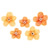 🌼