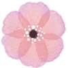 🌸