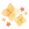 🌼