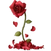 🥀
