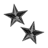 🌟