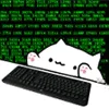 ⌨️