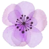 🌸