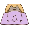 😻