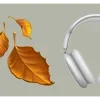 🍂