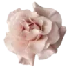 🌸