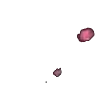 ⭐